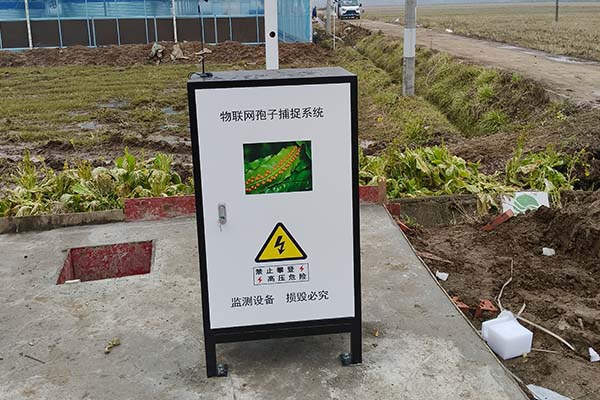 農(nóng)業(yè)高標準農(nóng)田圖片6